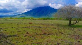 Taman Nasional Baluran - Afrika-nya Indonesia