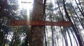 Ledok Ombo Campground - Poncokusumo Malang