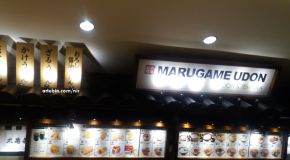 Marugame Udon - Delicacy in Simplicity