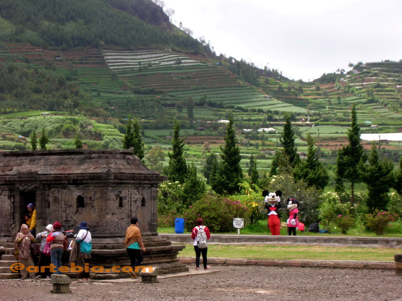 Disney di Dieng