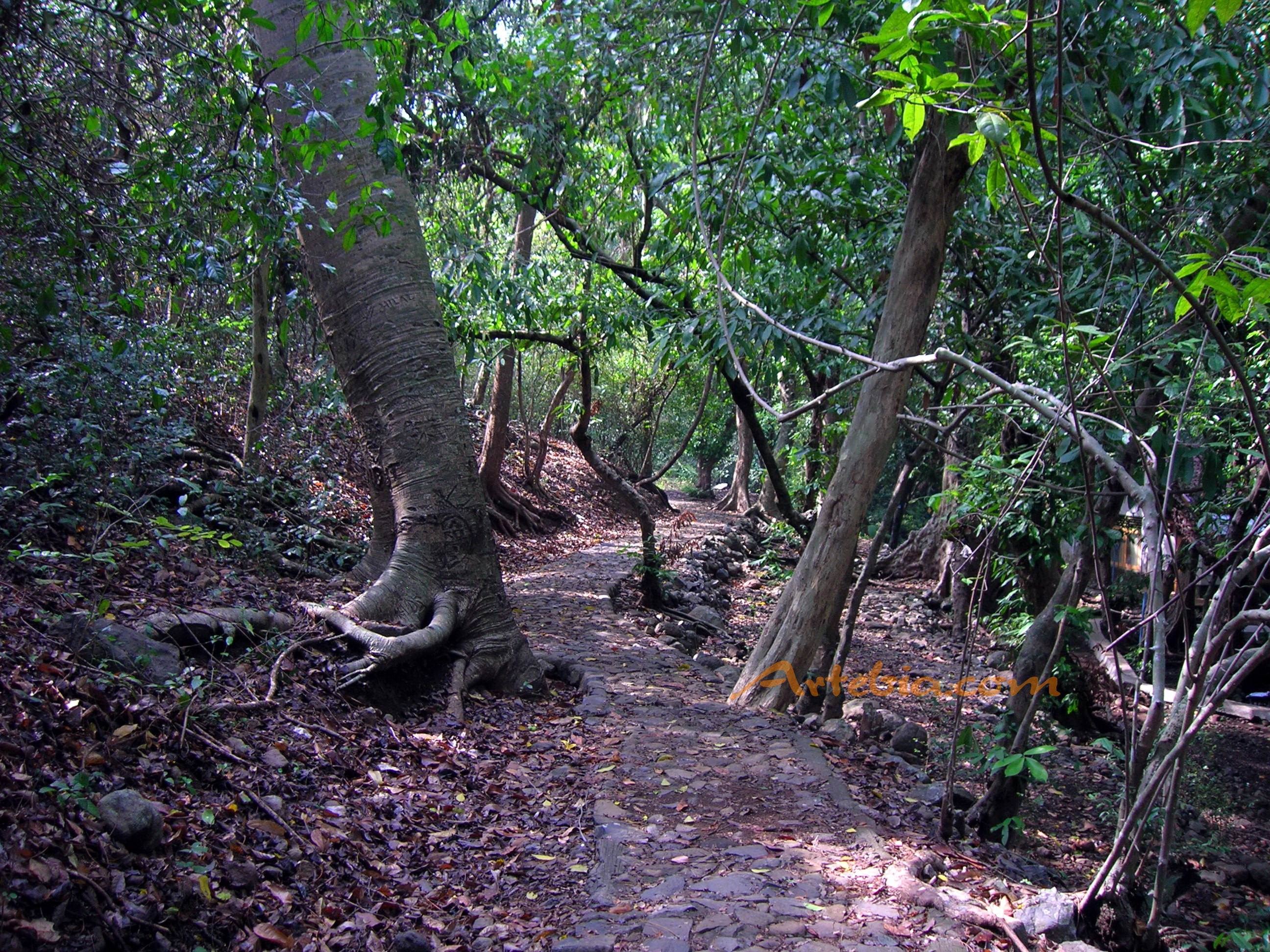 Jalur trekking Sumberboto