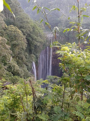 coban_sewu_dari_jauh