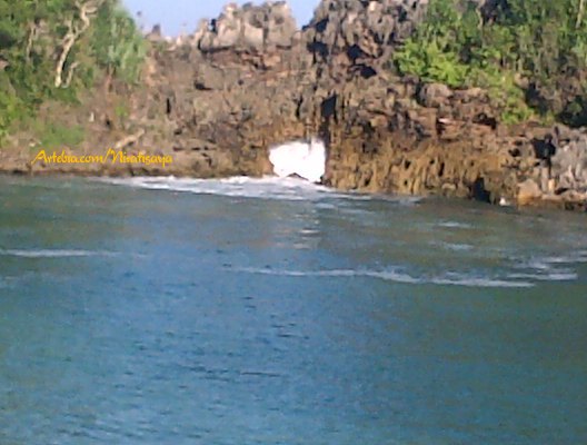 Segara Anakan