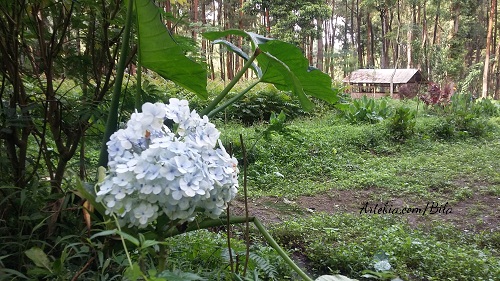 ledok_ombo_campground