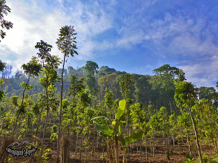 Gunung Katu